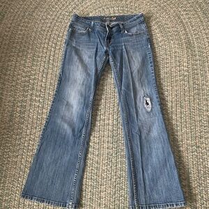 American Eagle Outfitters Distressed Blue Wide Leg Jeans